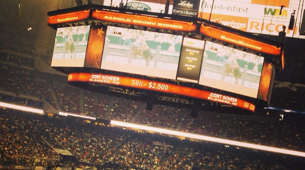 Whether or not you're a little bit country, Rodeo Houston is a BLAST!! Each spring you're able to grab some great BBQ, catch some live country music acts, and check out the good looking cowboys riding for 8 seconds of fame!! A Texas MUST DO!