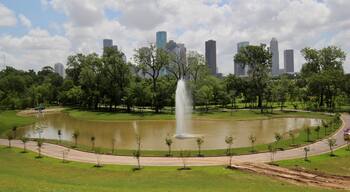 So many beautiful photo spots here.