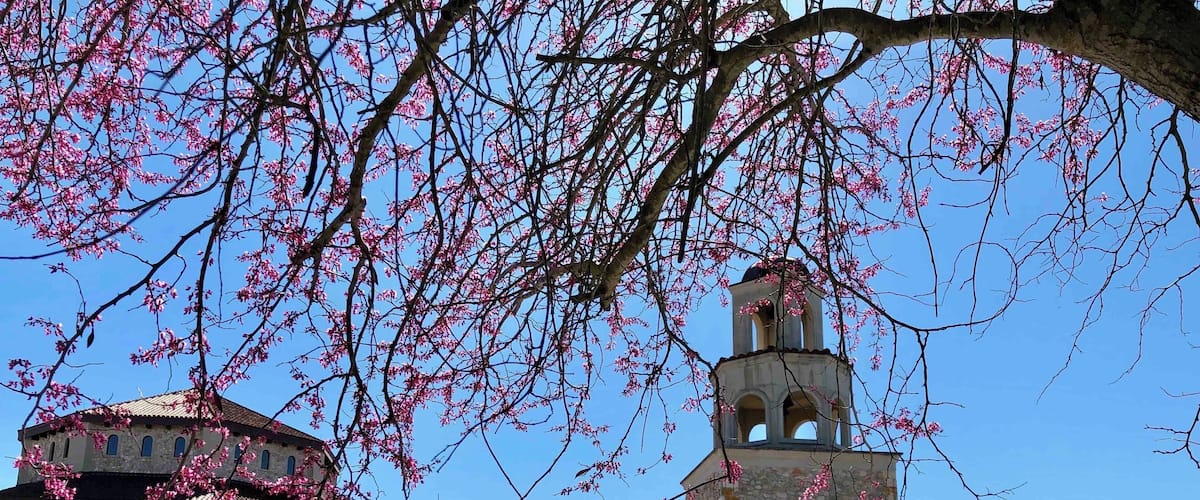 Taken from the parking lot in front of church