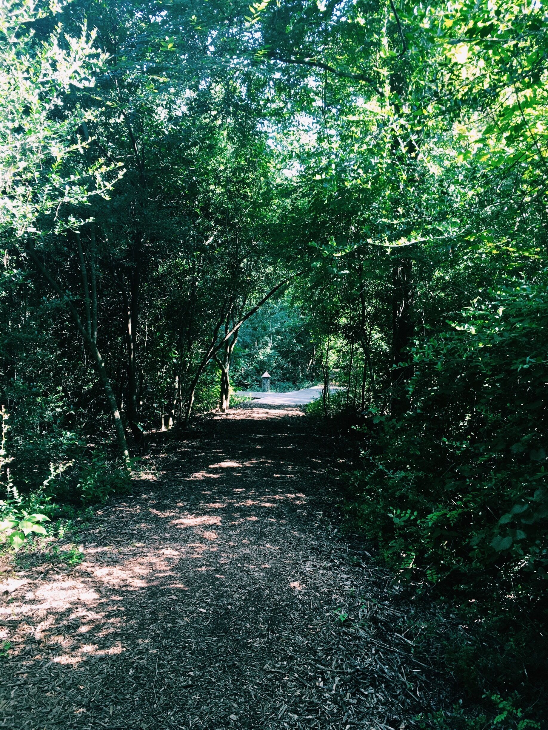 Great place in Houston to take a break from the city life.