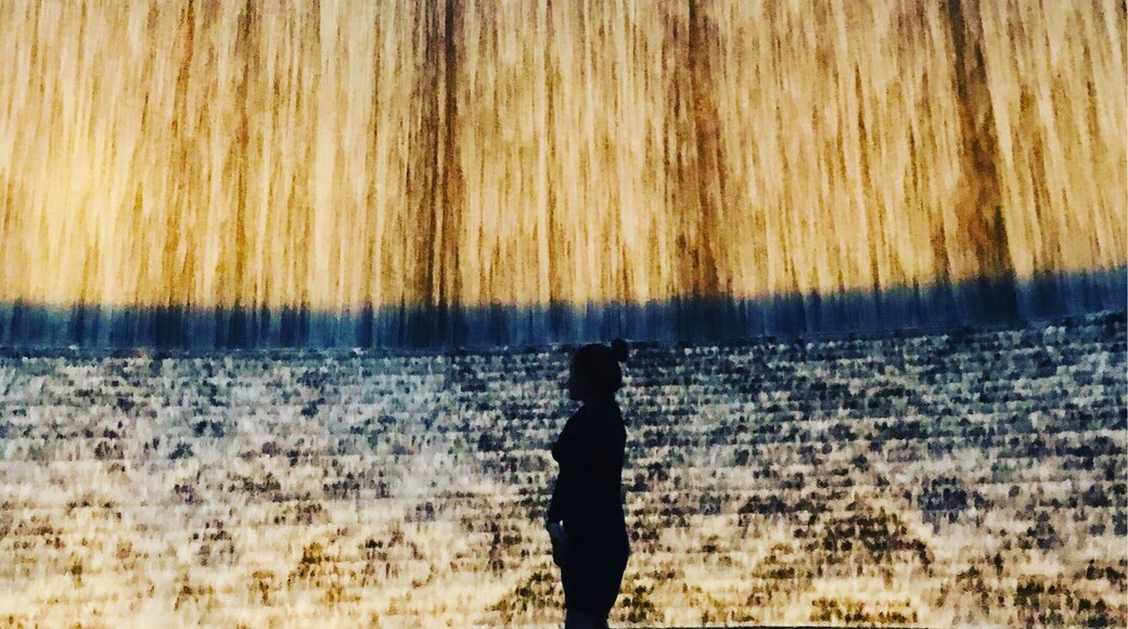 Gerald D. Hines Waterwall Park