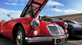 Cars and Coffee
Saturday March 3rd 2018
