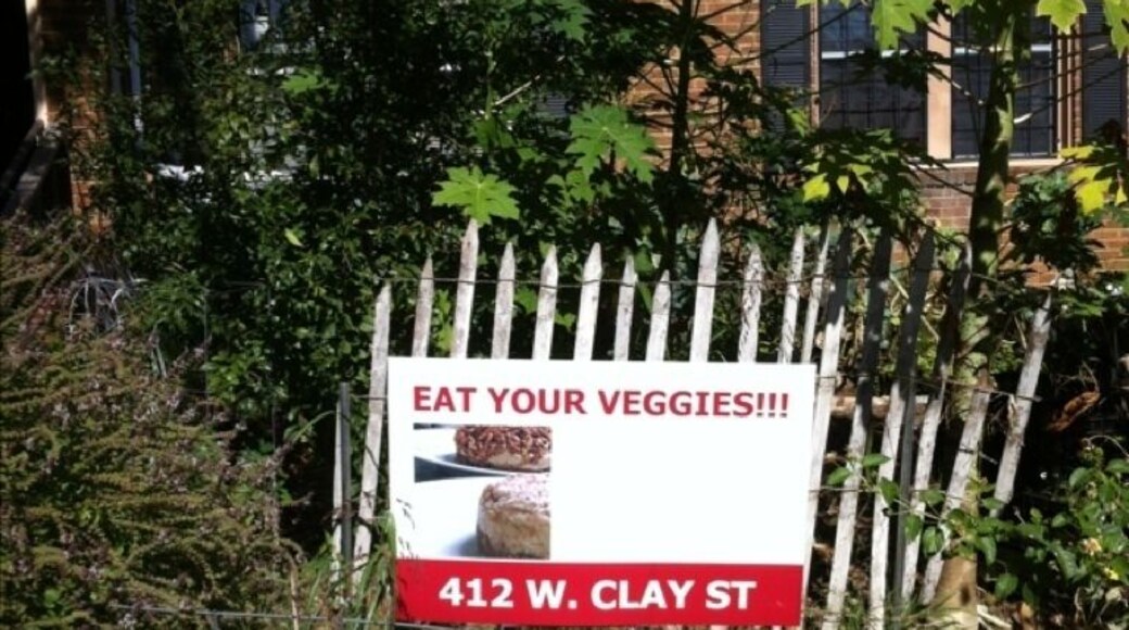 Pat Greer's Kitchen! Raw Vegan goodness :-)