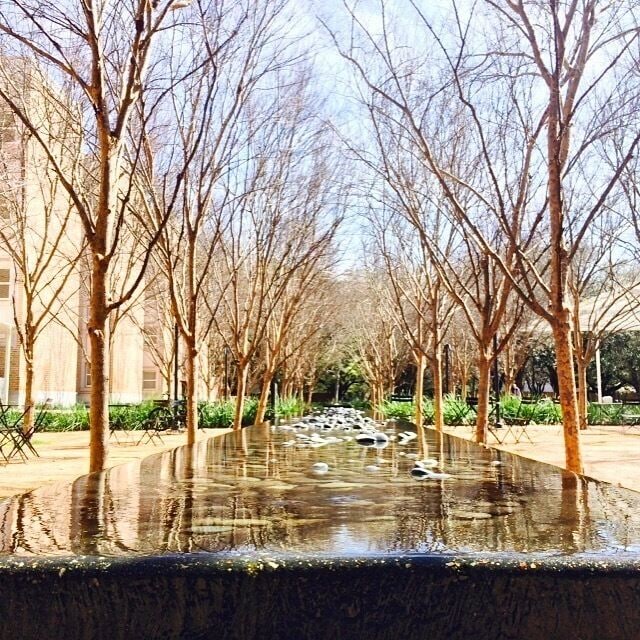 what a beautiful sunny day