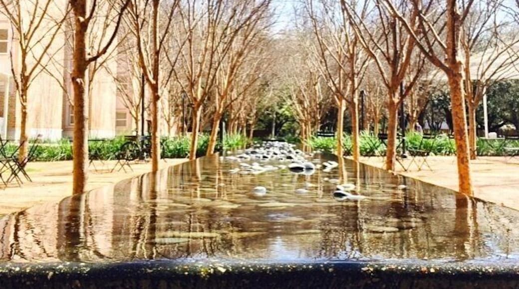 what a beautiful sunny day