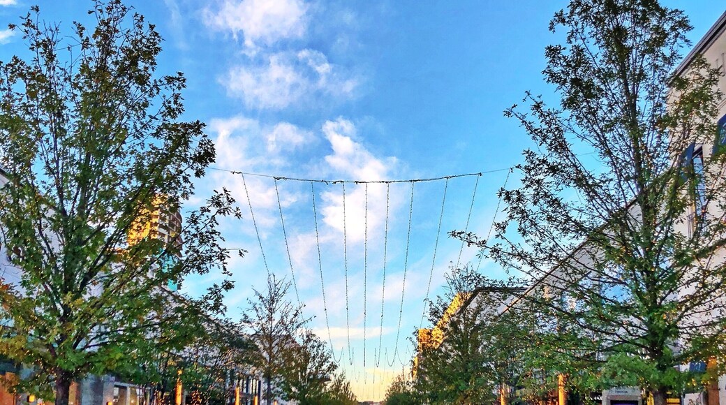 Centro comercial The Galleria