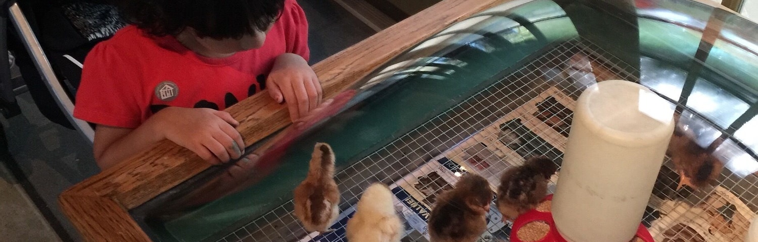 The most happening place for toddlers in houston