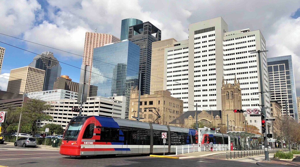 Taken in front of apartments.
#UrbanJungle