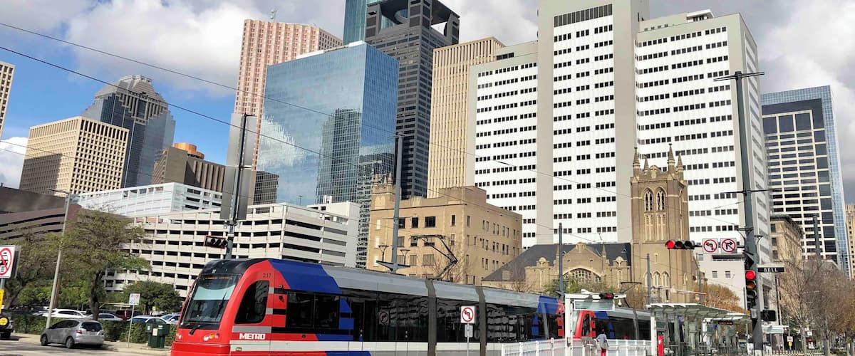 Taken in front of apartments.
#UrbanJungle