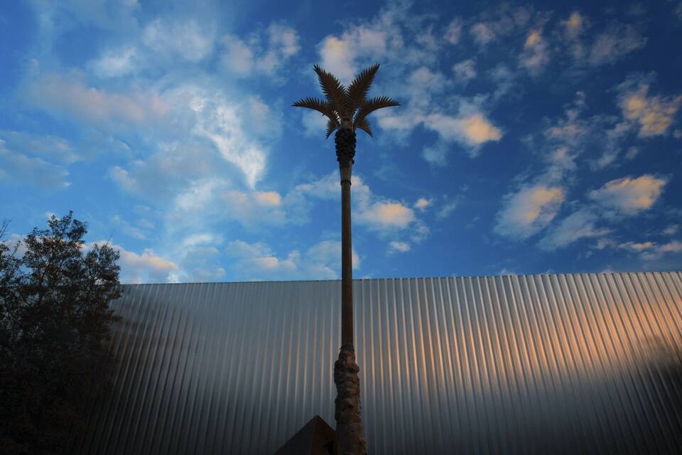 A palm tree against a corrugated metal wall and a blue sky with clouds.