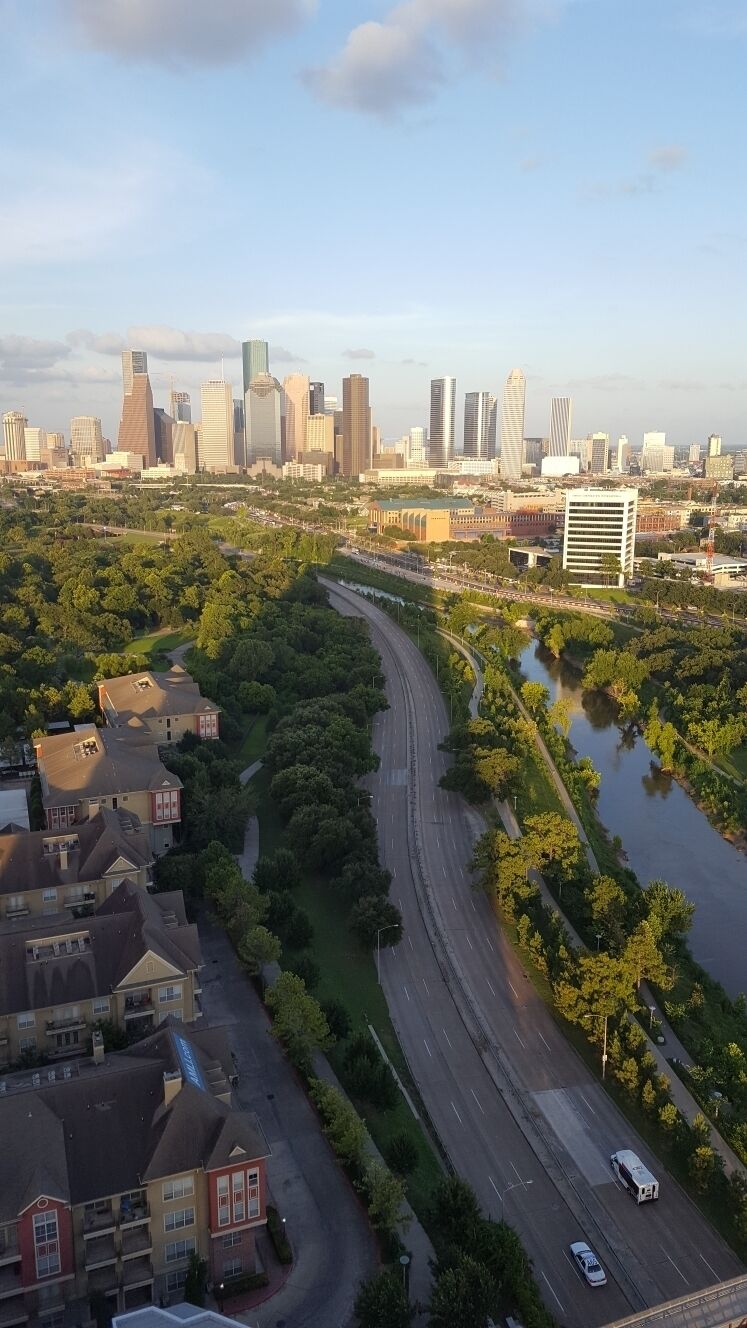A cityscape with a river, green park, and modern buildings.