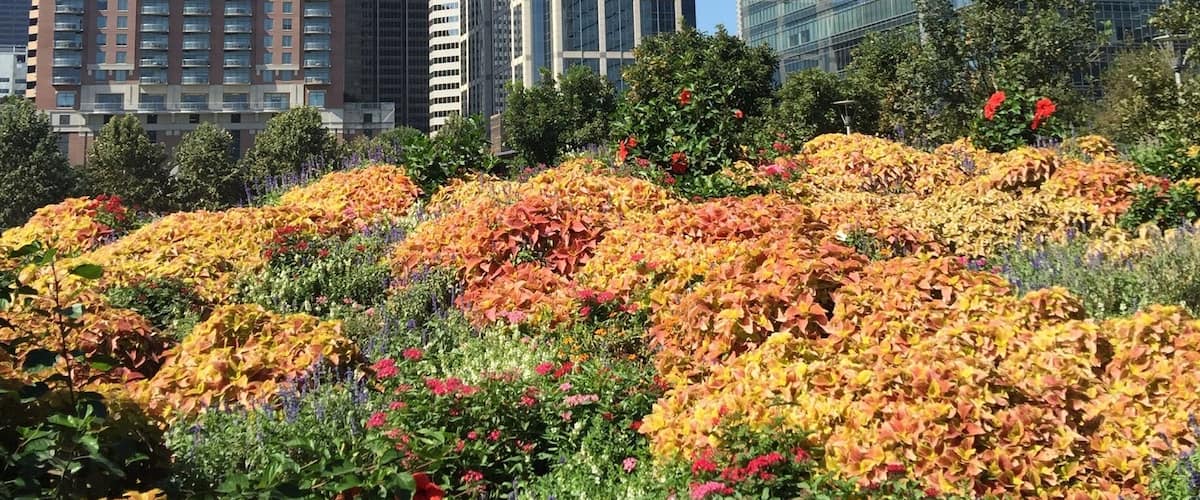 Taken near the main lawn