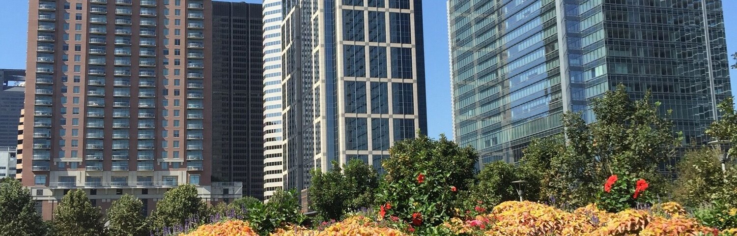 Taken near the main lawn