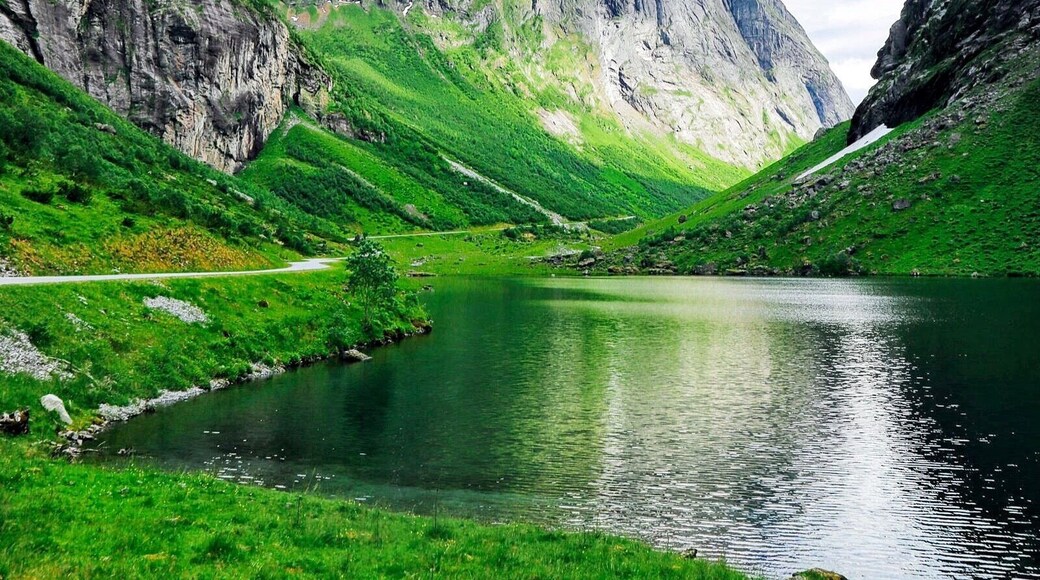 Norway conjures images of snow and ice but in summer, you'd struggle to find a much greener place in Europe! #Green