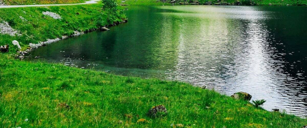 Norway conjures images of snow and ice but in summer, you'd struggle to find a much greener place in Europe! #Green