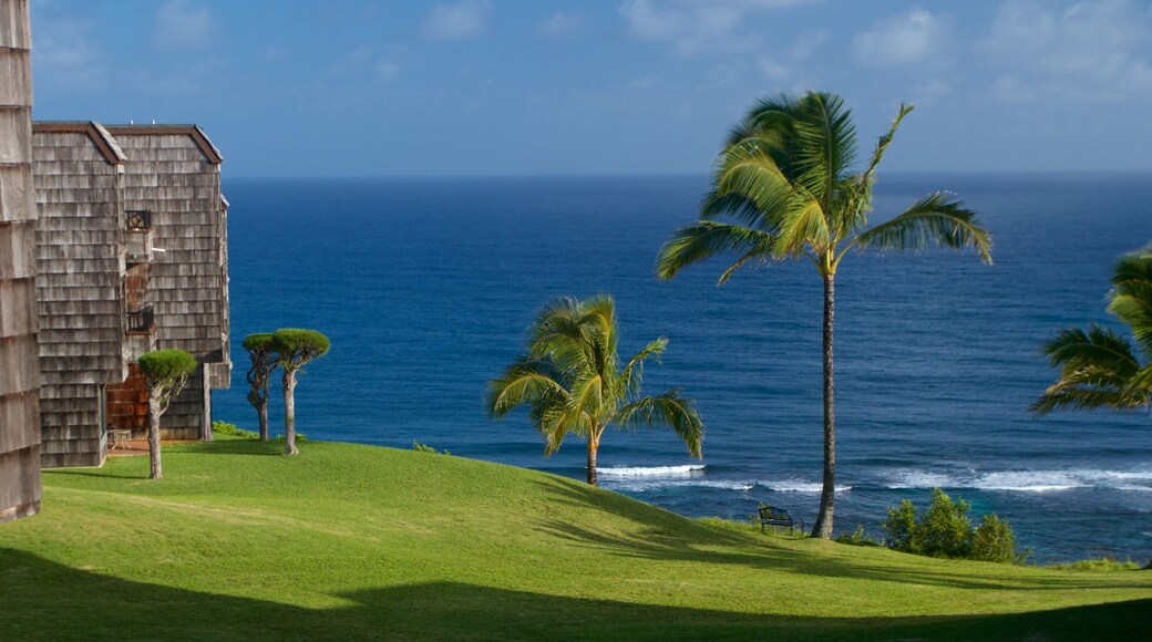 Princeville showing general coastal views