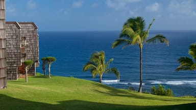 Princeville ofreciendo vistas generales de la costa