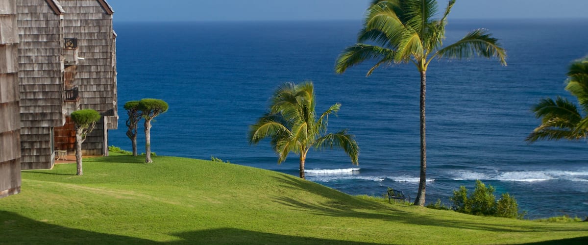 A coastal landscape with a wooden building, palm trees, and the ocean.