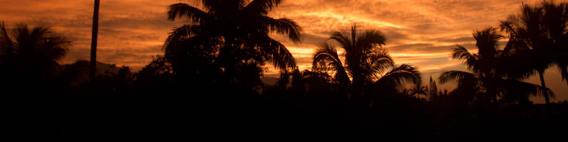 Princeville showing a sunset