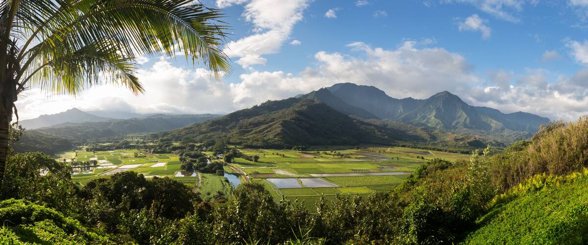 Hanalei valley from Princeville overlook Kauai