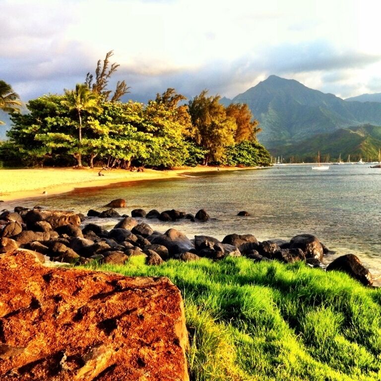 A beach with rocks, green grass, and trees.