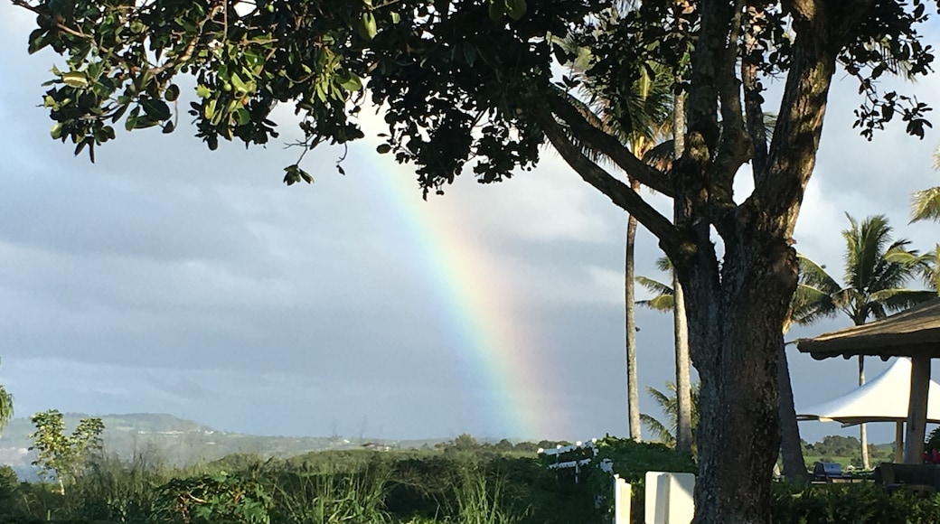 Princeville Makai golf course on the Sunset Golf Cart tour featuring Queenâs Bath, The Kilauea lighthouse, Puff the Magic Dragon, Anini Reef and more. #LifeAtExpedia