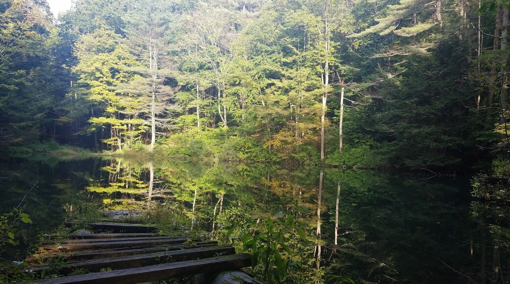 Mirror pond on the Burkbank trail