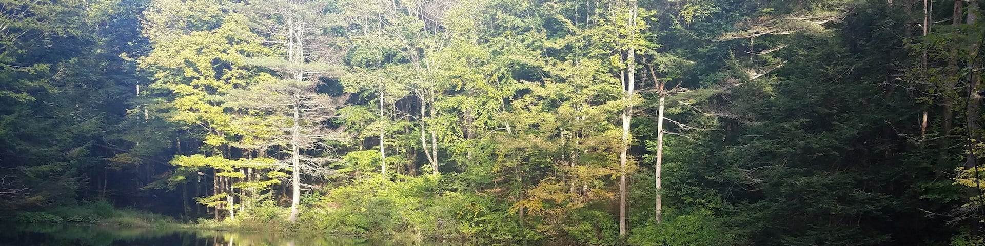 Mirror pond on the Burkbank trail