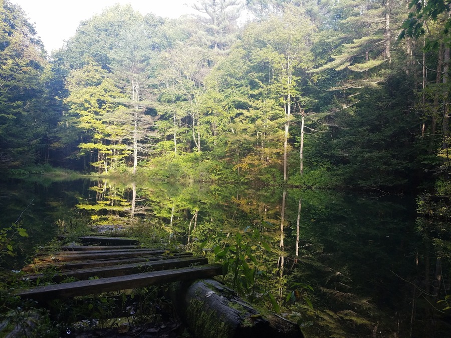 Mirror pond on the Burkbank trail