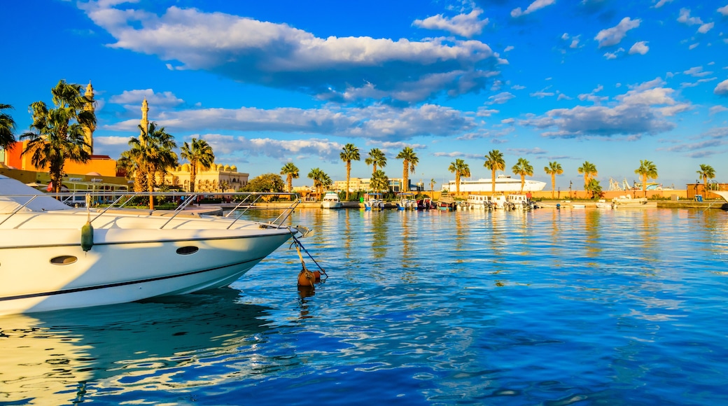 محافظة البحر الأحمر