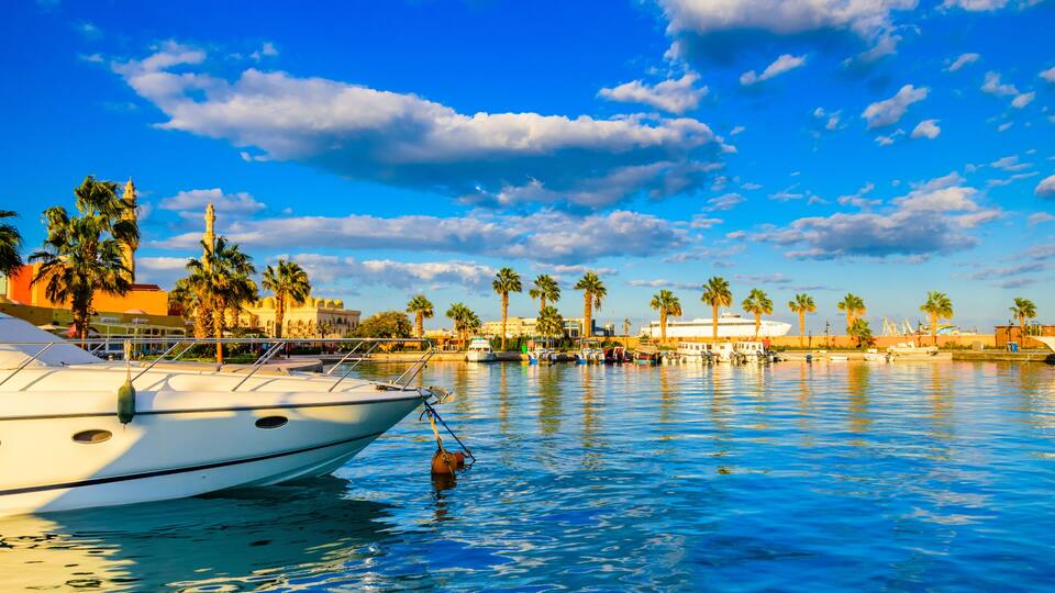 A yacht docked in a marina with palm trees and a clear blue sky.