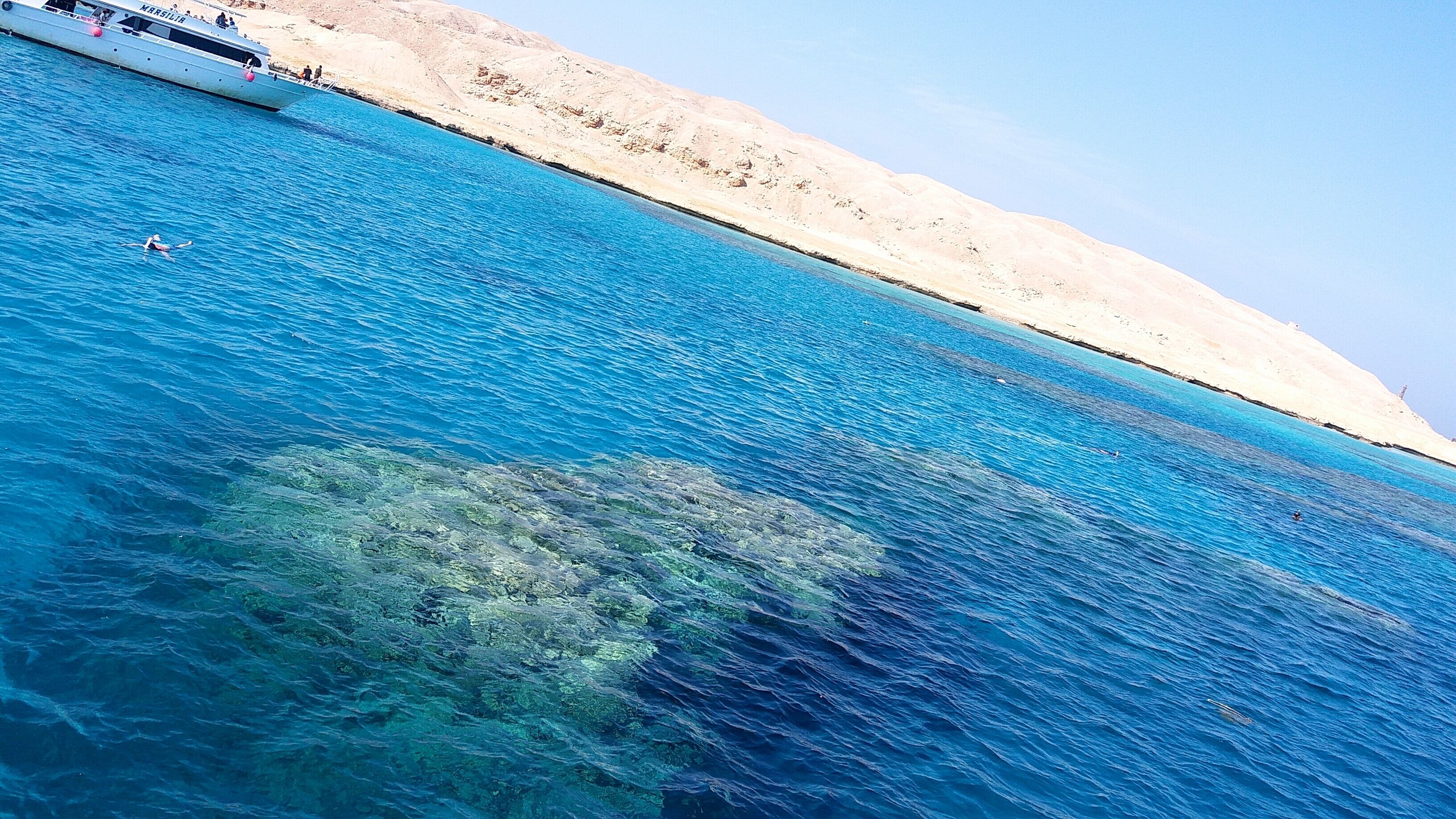 Giant coral in the Red Sea. Am I the only one who tried to split the water like Moses? 
#LifeAtExpedia #beach