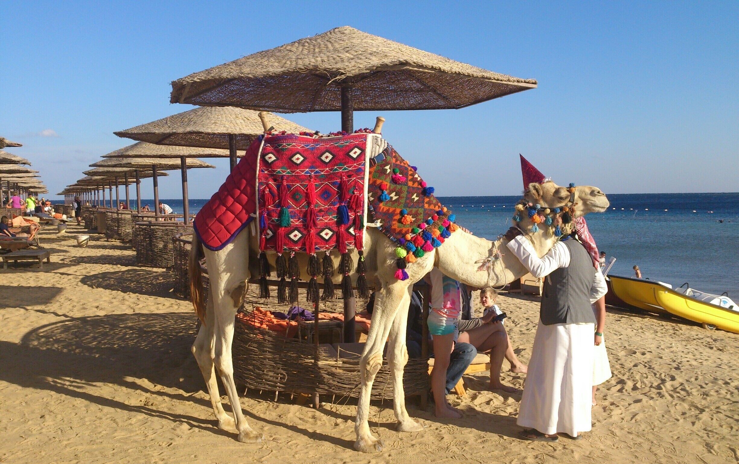 Camel riding near the Red Sea #LifeAtExpedia