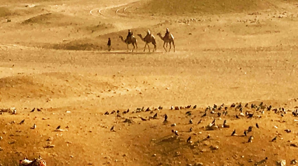 Cario pyramids - a day immersed into the nomadic life #red #nationalpark #hiking #travel #landscape #nature