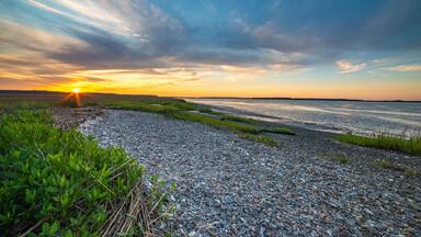 Coastal sunset in the low country