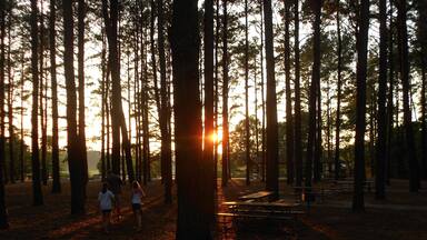 Cute, well cared for, and very uncrowded state park in Maryland. Rent a canoe and paddle up into the creeks that feed the lake for views of abundant plants and wildlife.