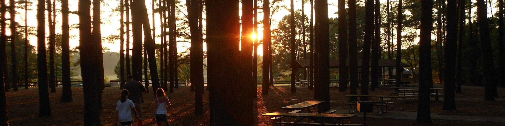 Cute, well cared for, and very uncrowded state park in Maryland. Rent a canoe and paddle up into the creeks that feed the lake for views of abundant plants and wildlife.
