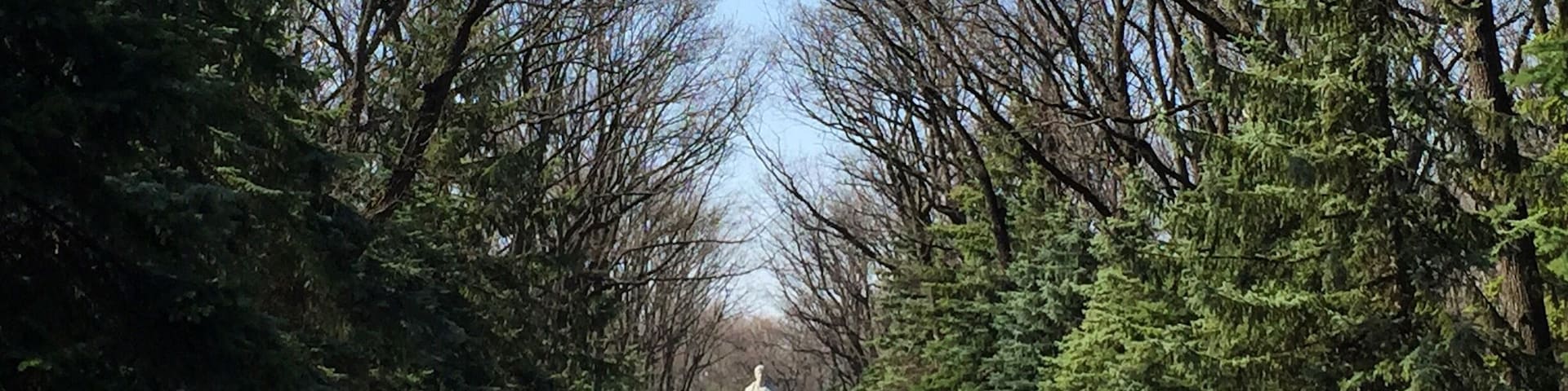 Every city in Ukraine has a (usually big) WW2 memorial.