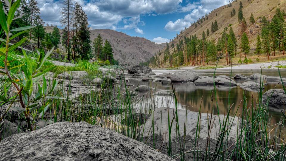 A river with rocks and greenery, surrounded by mountains and trees.