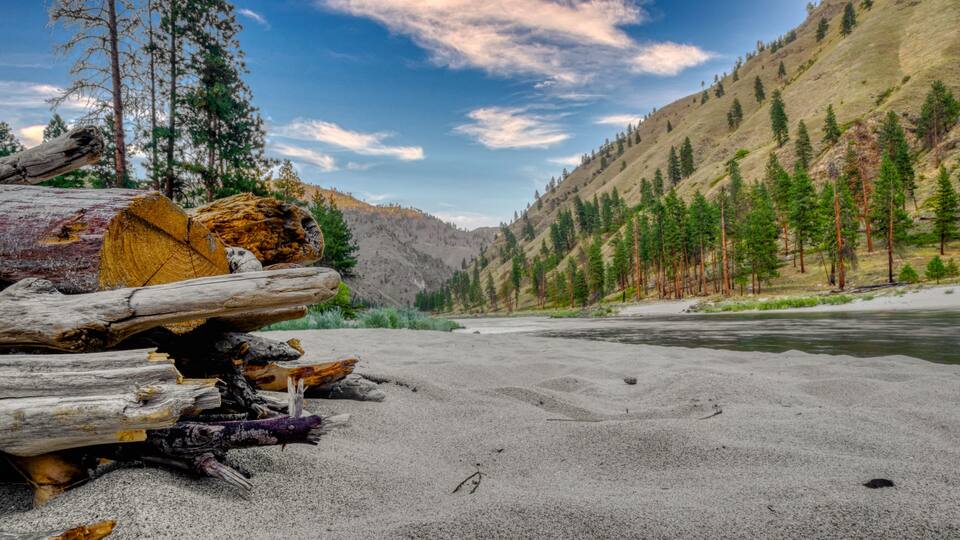 A riverbank with logs, a forested hillside, and a clear sky.