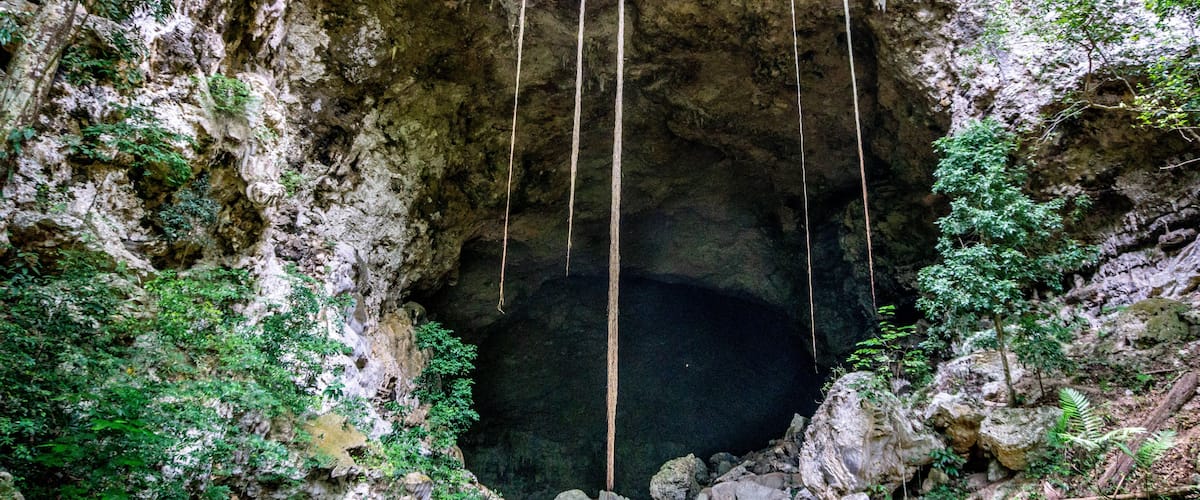 A cave entrance with hanging ropes, rocky terrain, and surrounding greenery.