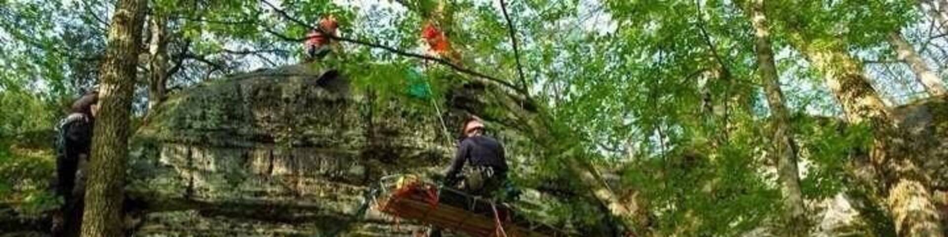 This is how we have fun