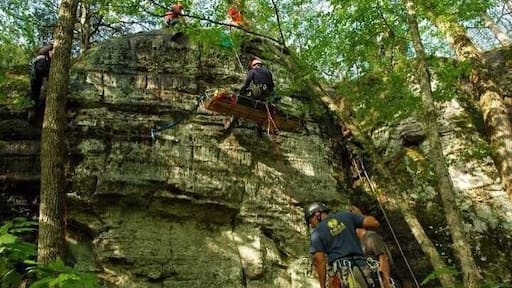 This is how we have fun