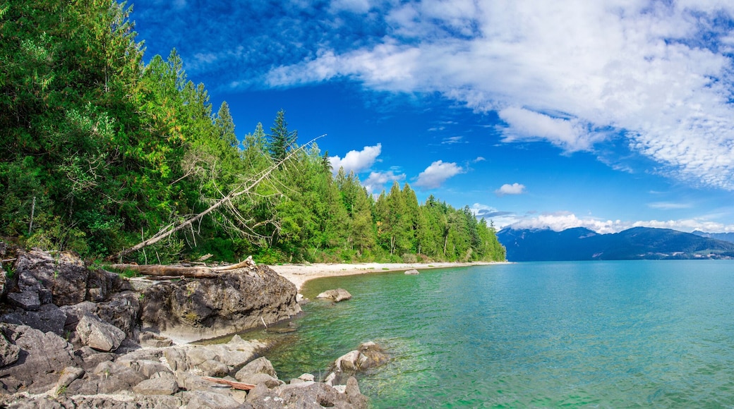 Fantastic view of Harrison Lake nature summer