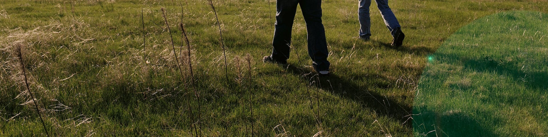 Two people walking in a grassy field with a clear sky.