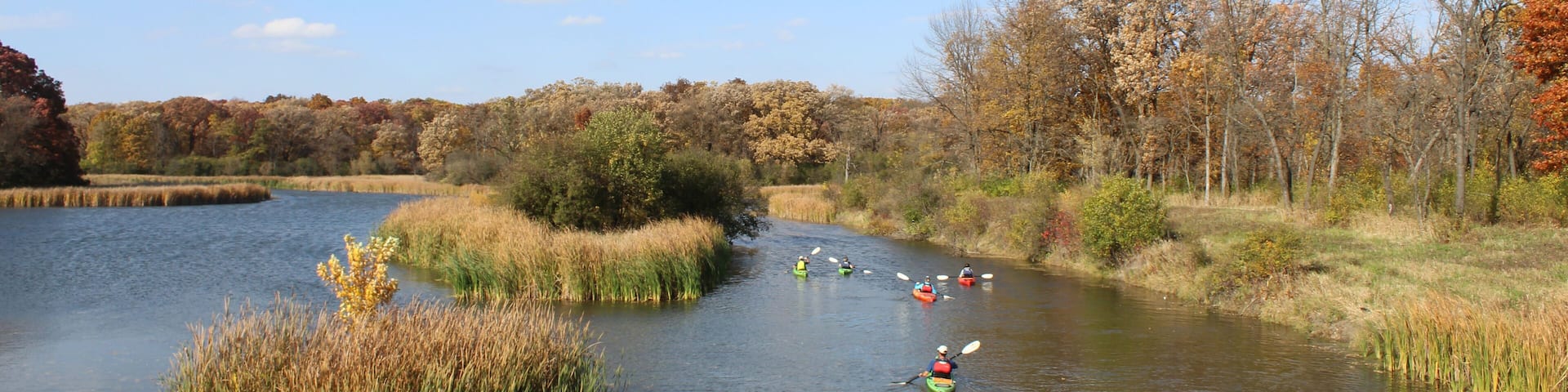 Large group of kayakers at Salt Creek in autumn at Busse Woods in Elk Grove, Illinois