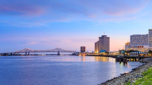 A river with a bridge, city buildings, and a park with a lamp post.