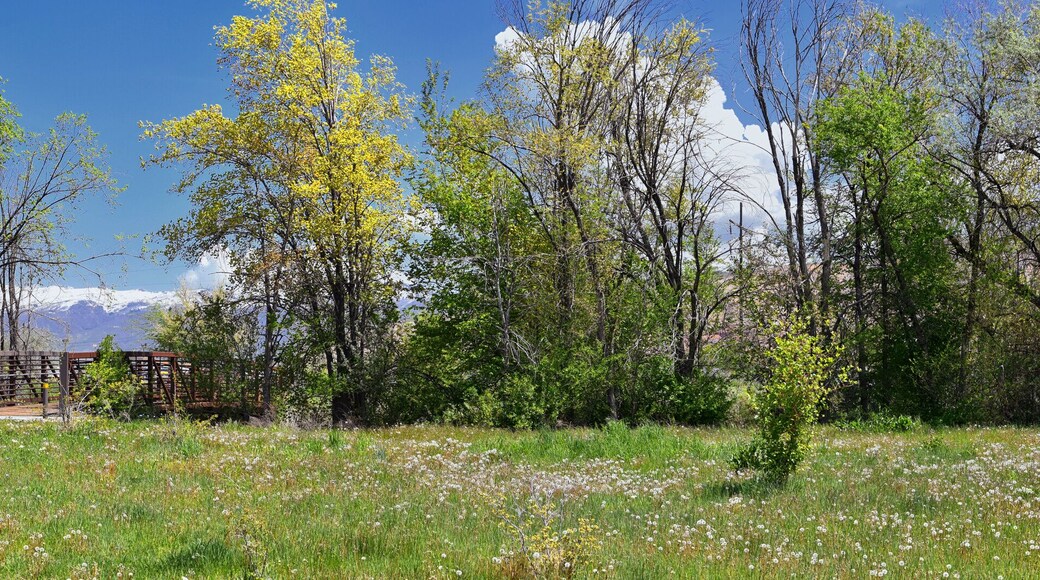 Jordan River Parkway Trail, Redwood Trailhead bordering the Legacy Parkway Trail, panorama views with surrounding trees and silt filled muddy water along the Rocky Mountains, Salt Lake City, Utah.