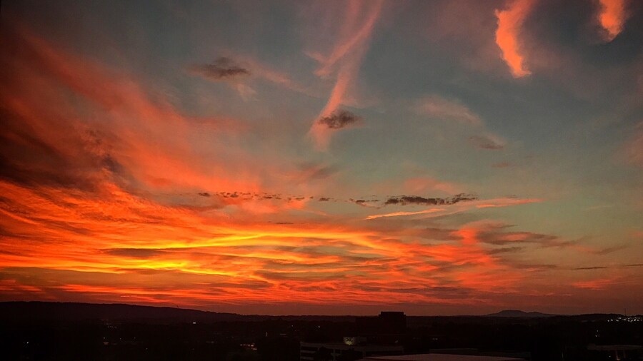 From the 11th story balcony of the Element Huntsville - sights to be found everywhere, even from my hotel bed.