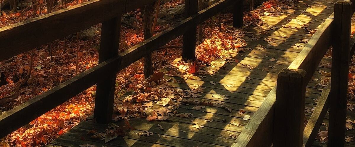 Nice walking trails at the museum, great info along the way about the geology and more.  Finally seeing some fall colors.
